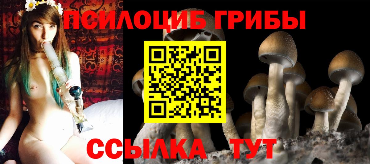 Псилоцибиновые грибы ЛСД Отрадное